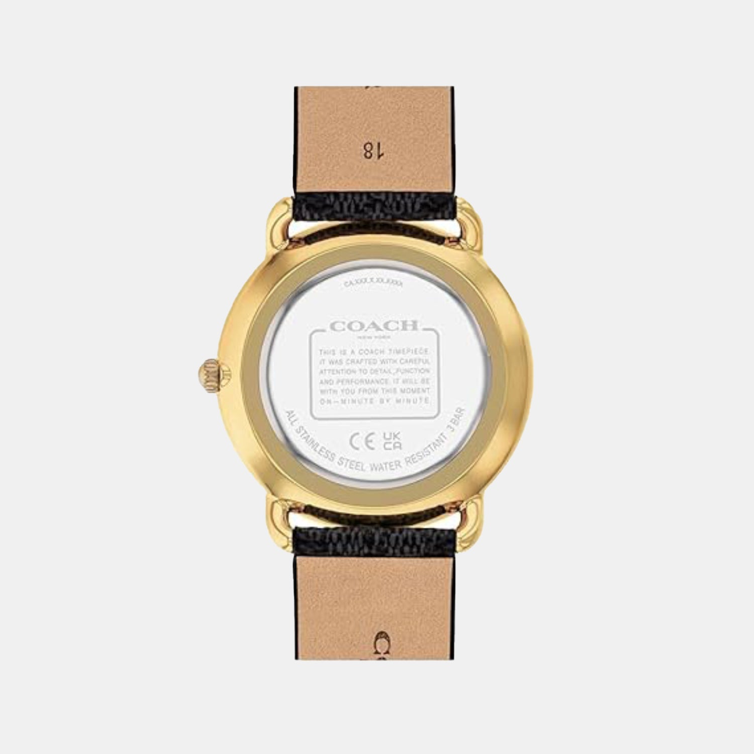 Elliot Women Quartz Black Dial Analog Leather Watch 14504289