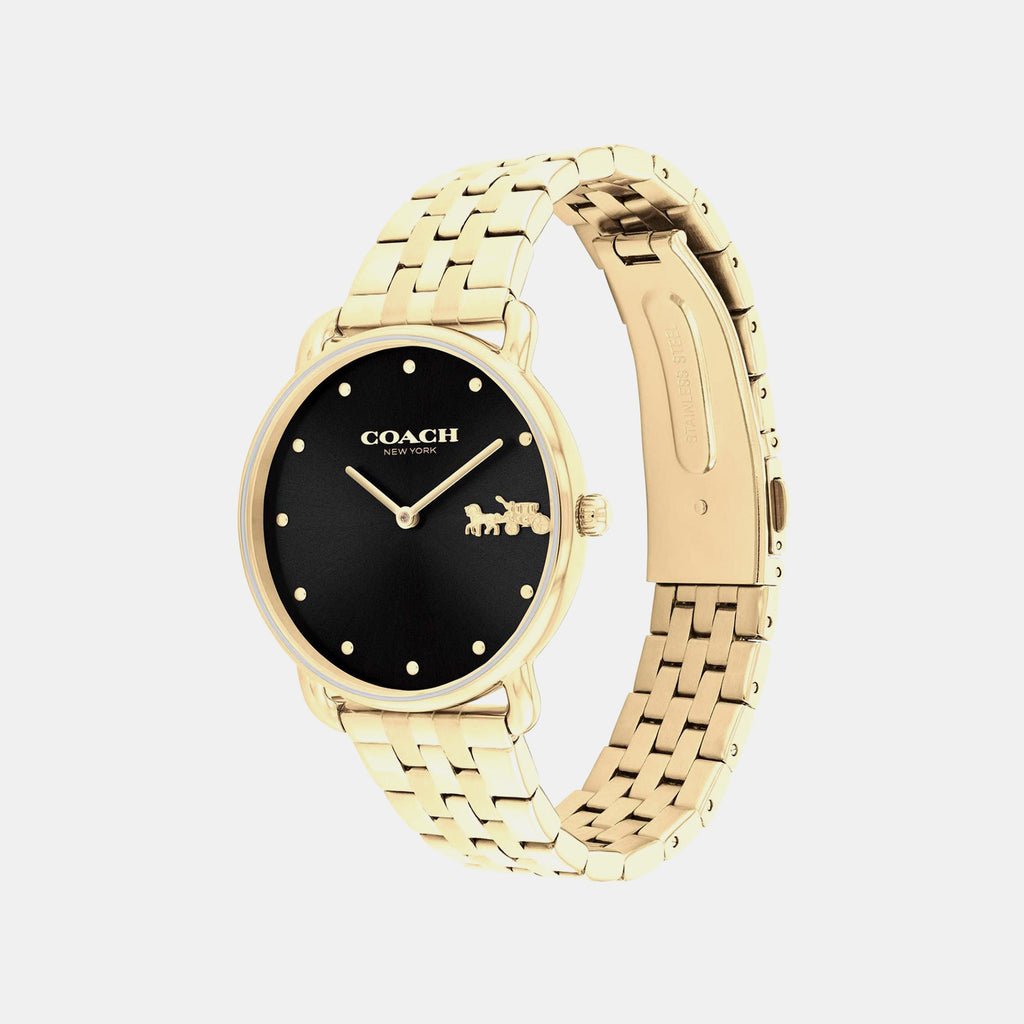 Elliot Women Quartz Black Dial Analog Stainless Steel Watch 14504291