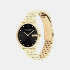 Elliot Women Quartz Black Dial Analog Stainless Steel Watch 14504291