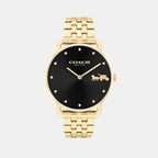 Elliot Women Quartz Black Dial Analog Stainless Steel Watch 14504291