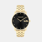 Elliot Women Quartz Black Dial Analog Stainless Steel Watch 14504291