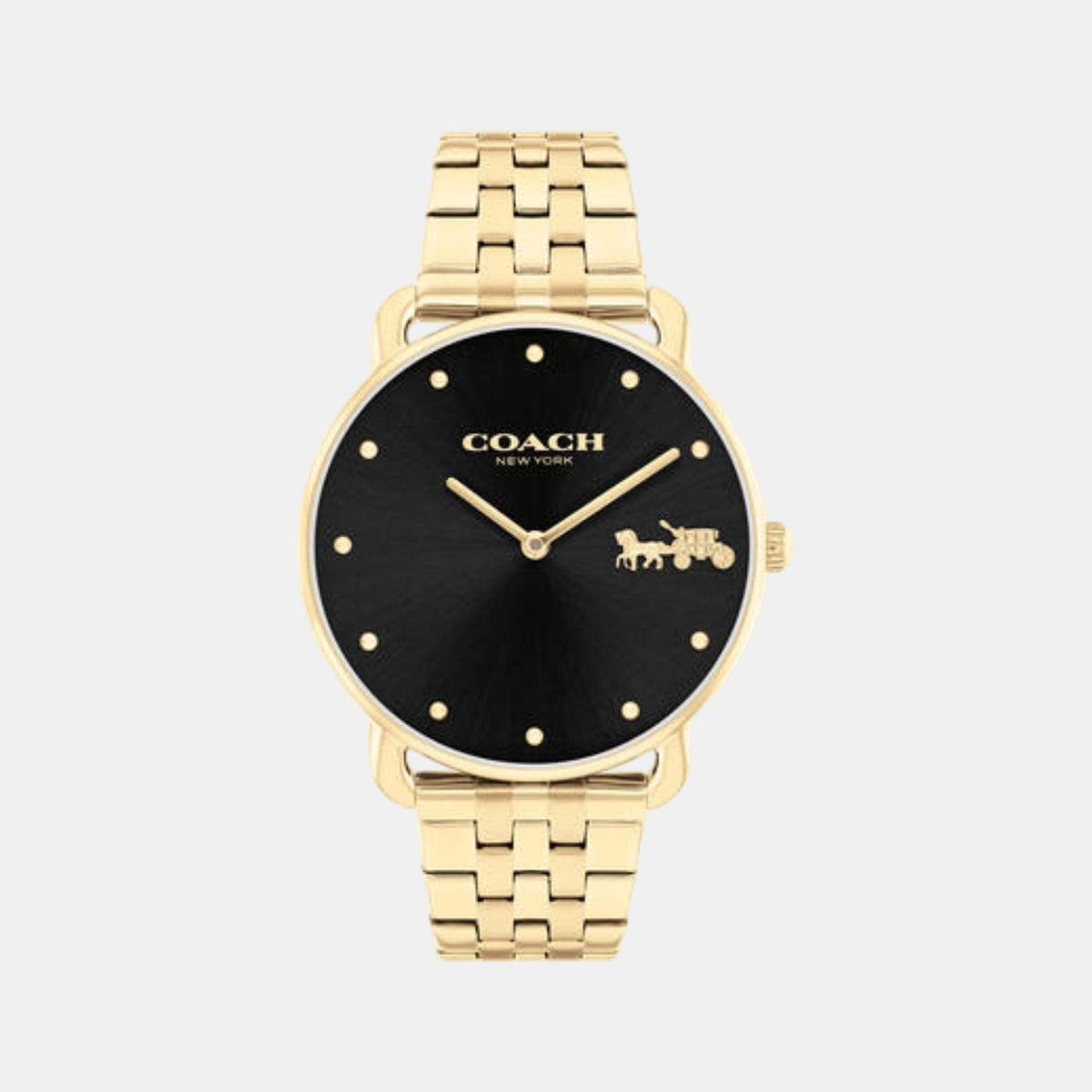Elliot Women Quartz Black Dial Analog Stainless Steel Watch 14504291