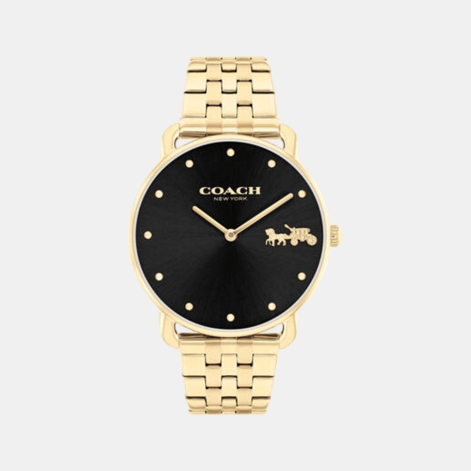 Elliot Women Quartz Black Dial Analog Stainless Steel Watch 14504291