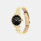 Elliot Women Quartz Black Dial Analog Stainless Steel Watch 14504302