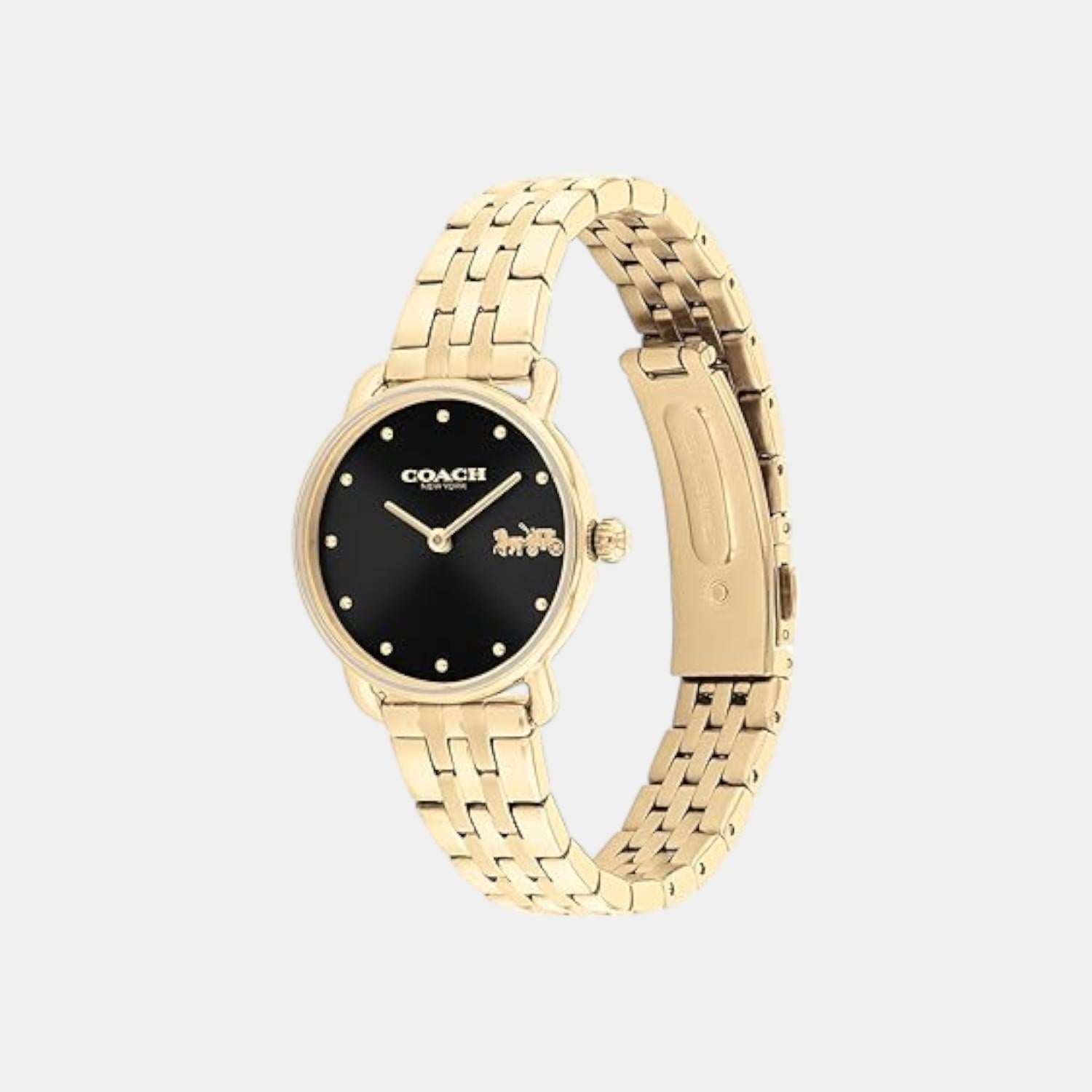 Elliot Women Quartz Black Dial Analog Stainless Steel Watch 14504302