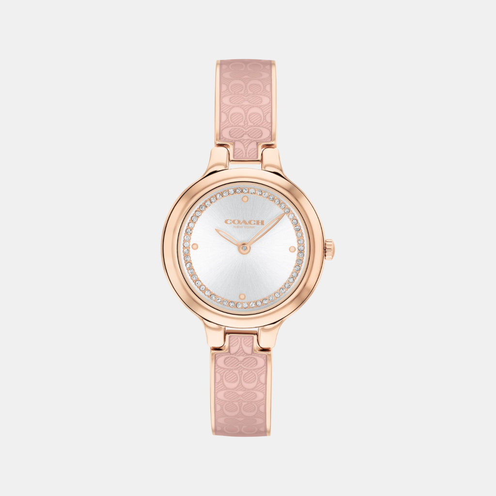 Chelsea Women Quartz Silver Dial Analog Stainless Steel Watch 14504331