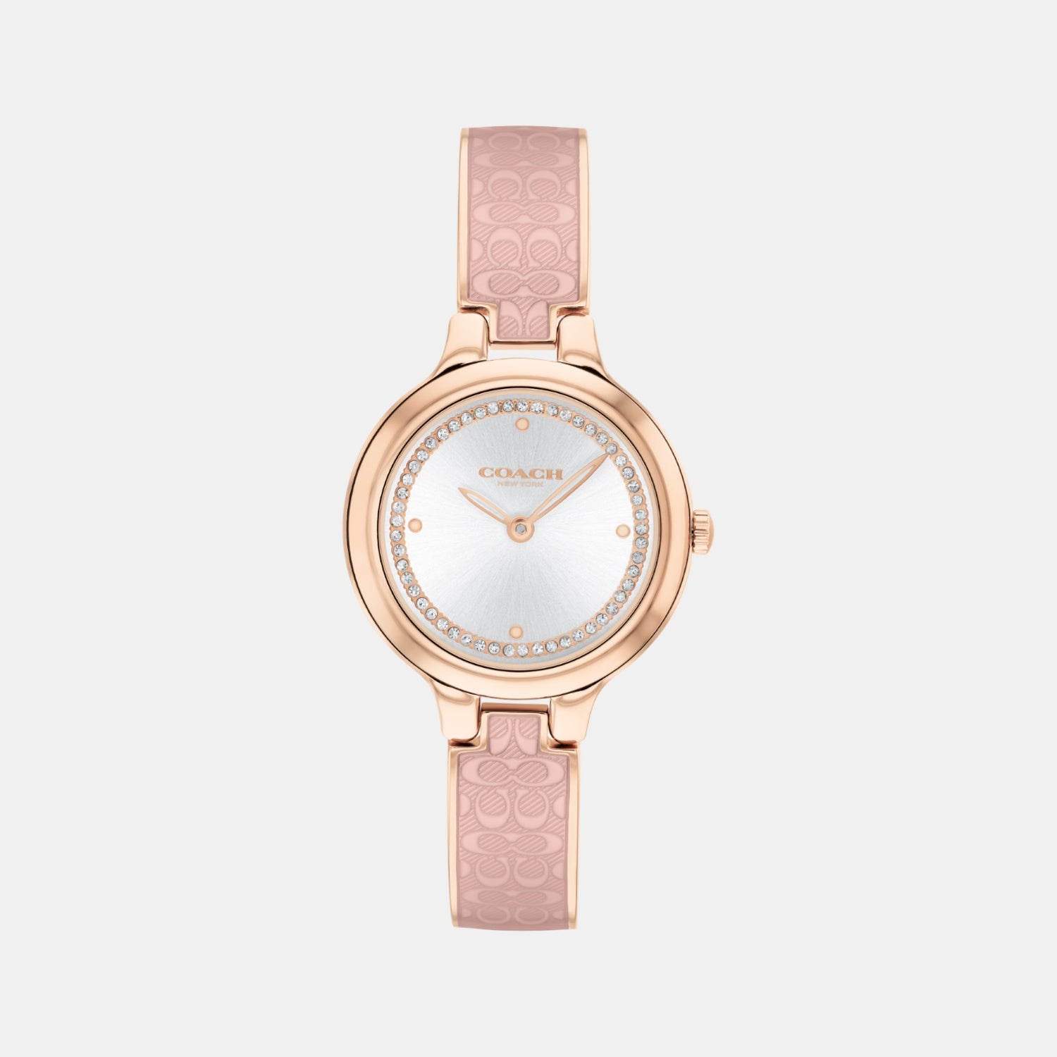 Chelsea Women Quartz Silver Dial Analog Stainless Steel Watch 14504331