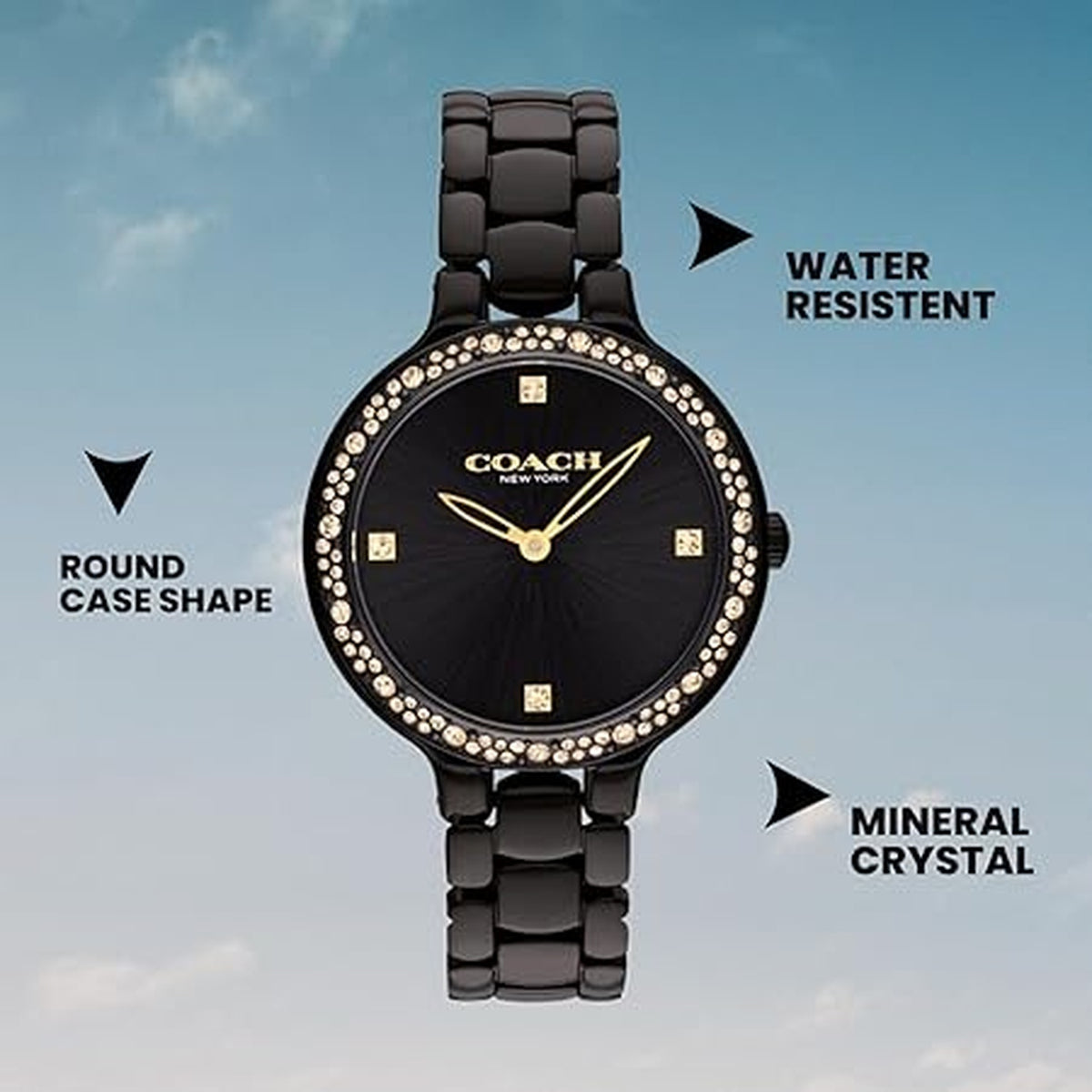 Chelsea Women Quartz Black Dial Analog Stainless Steel Watch 14504352