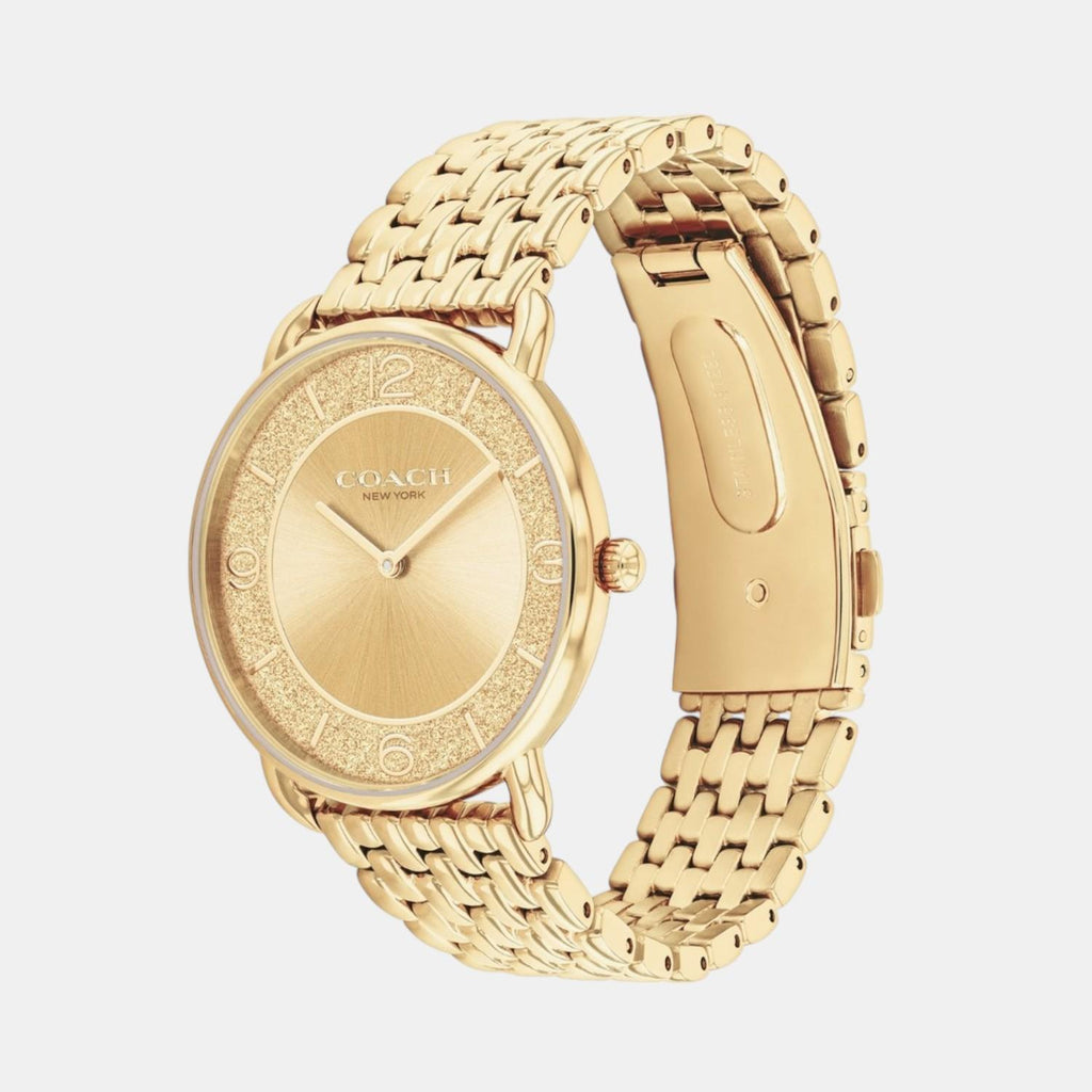 Elliot Women Quartz Gold Dial Analog Stainless Steel Watch 14504374