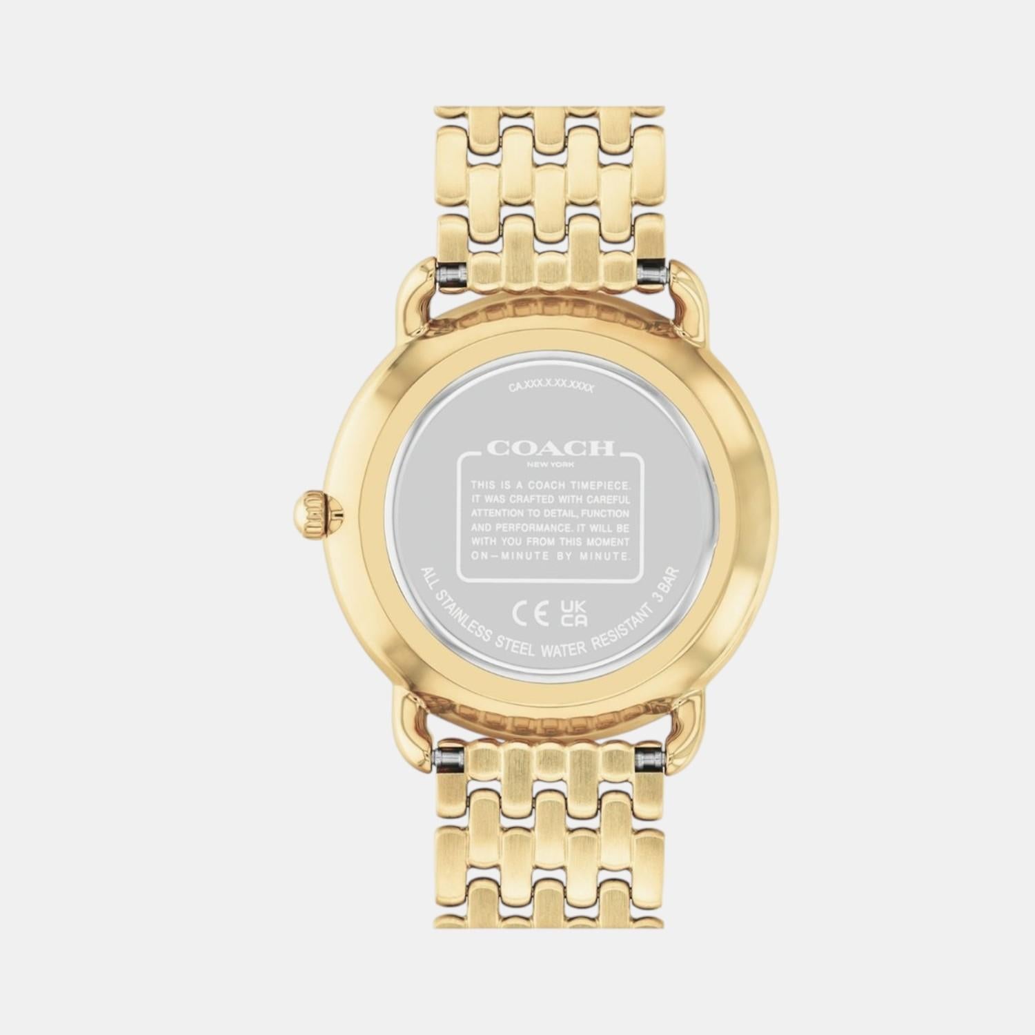 Elliot Women Quartz Gold Dial Analog Stainless Steel Watch 14504374