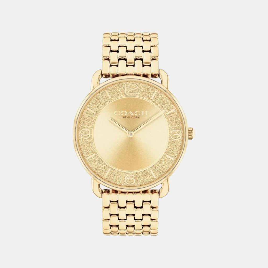 Elliot Women Quartz Gold Dial Analog Stainless Steel Watch 14504374