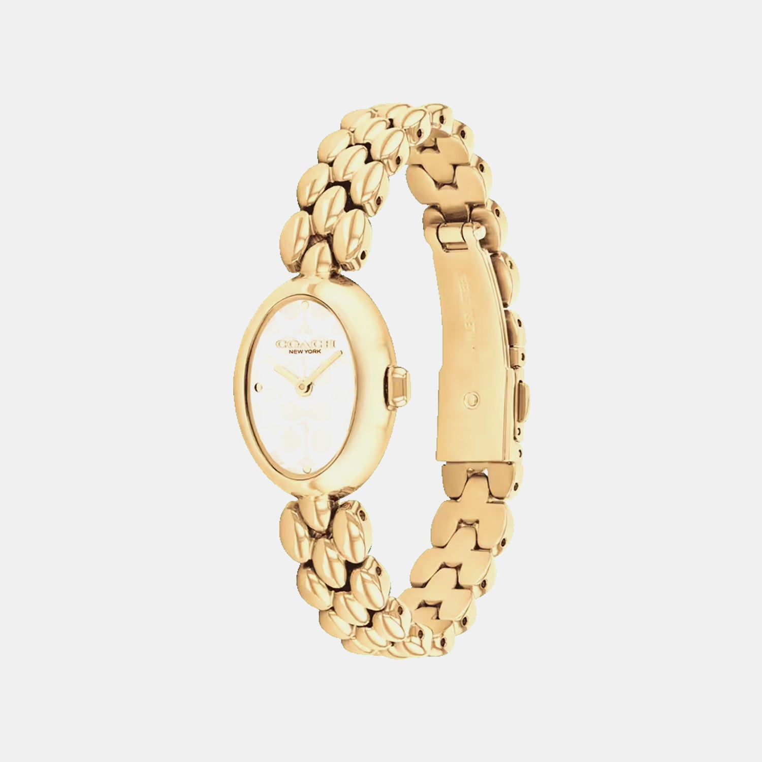 Sammy Women Quartz Silver Dial Analog Stainless Steel Watch 14504417