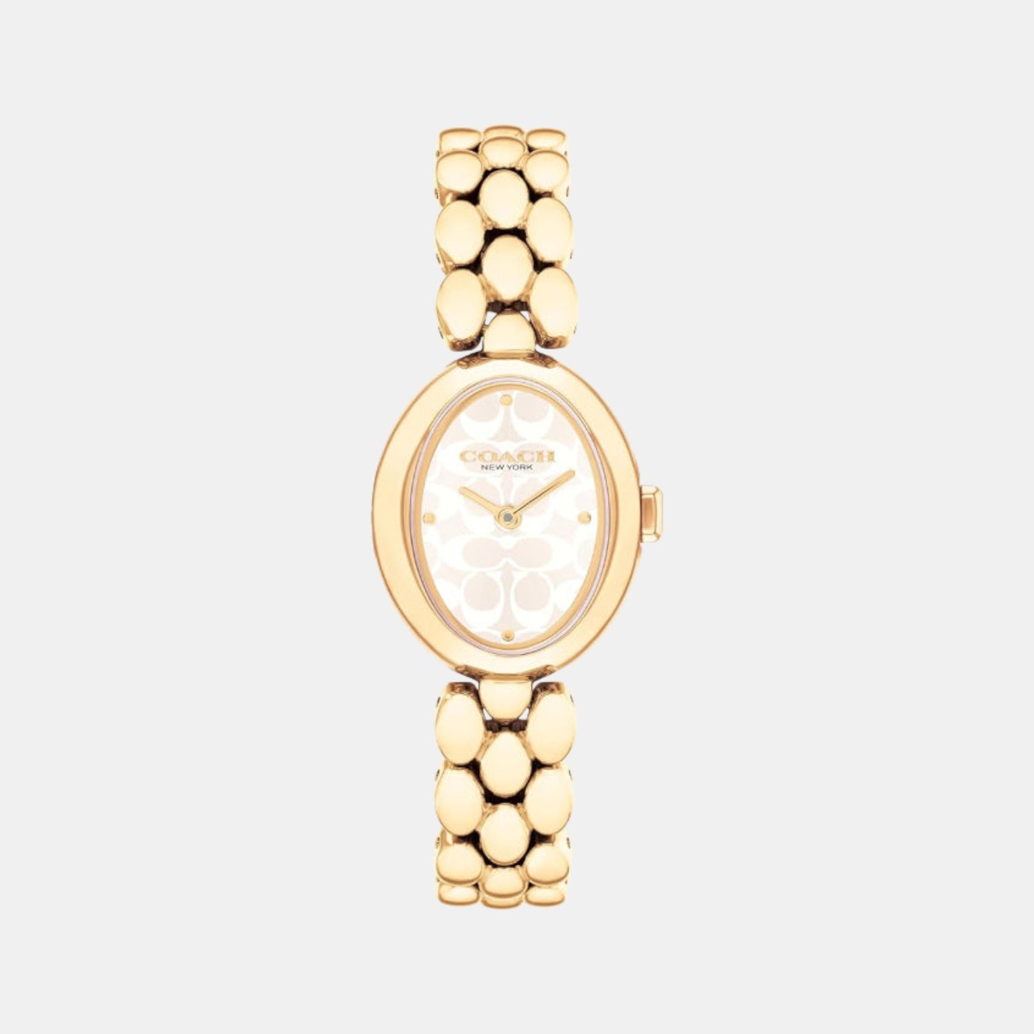 Sammy Women Quartz Silver Dial Analog Stainless Steel Watch 14504417