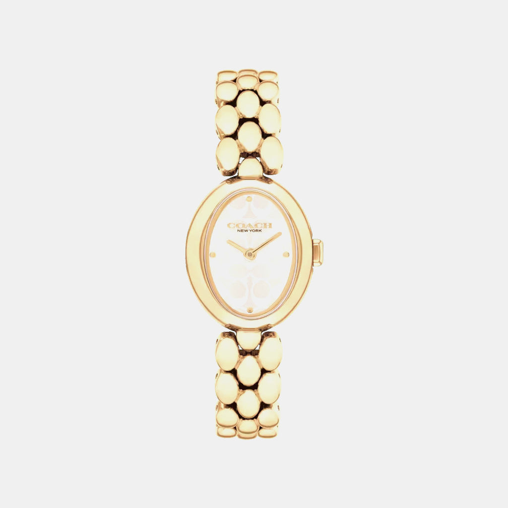 Sammy Women Quartz Silver Dial Analog Stainless Steel Watch 14504417