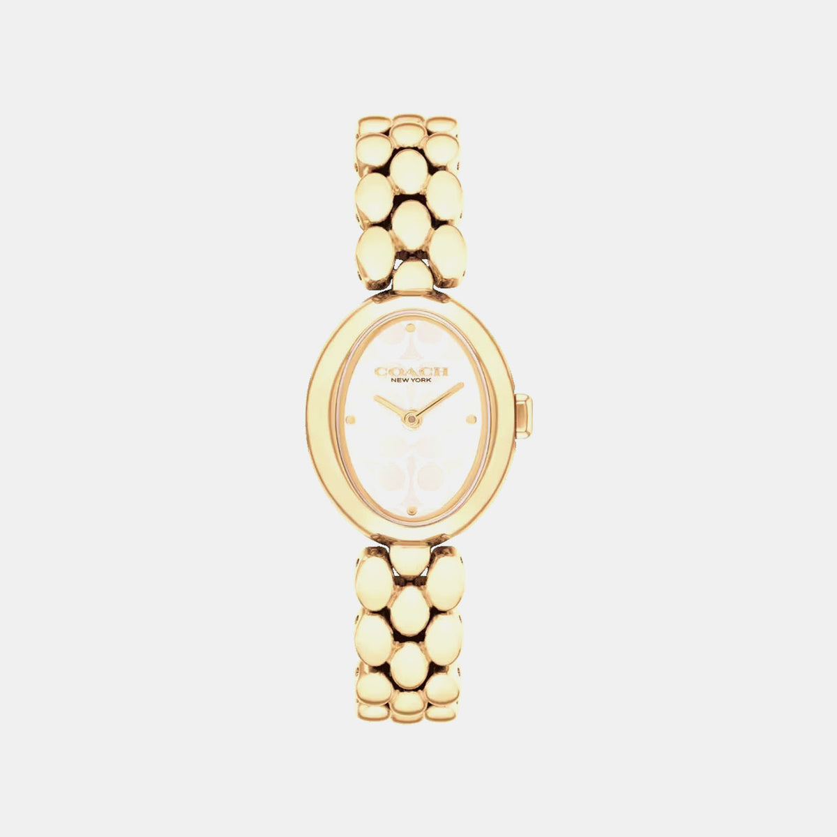 Sammy Women Quartz Silver Dial Analog Stainless Steel Watch 14504417