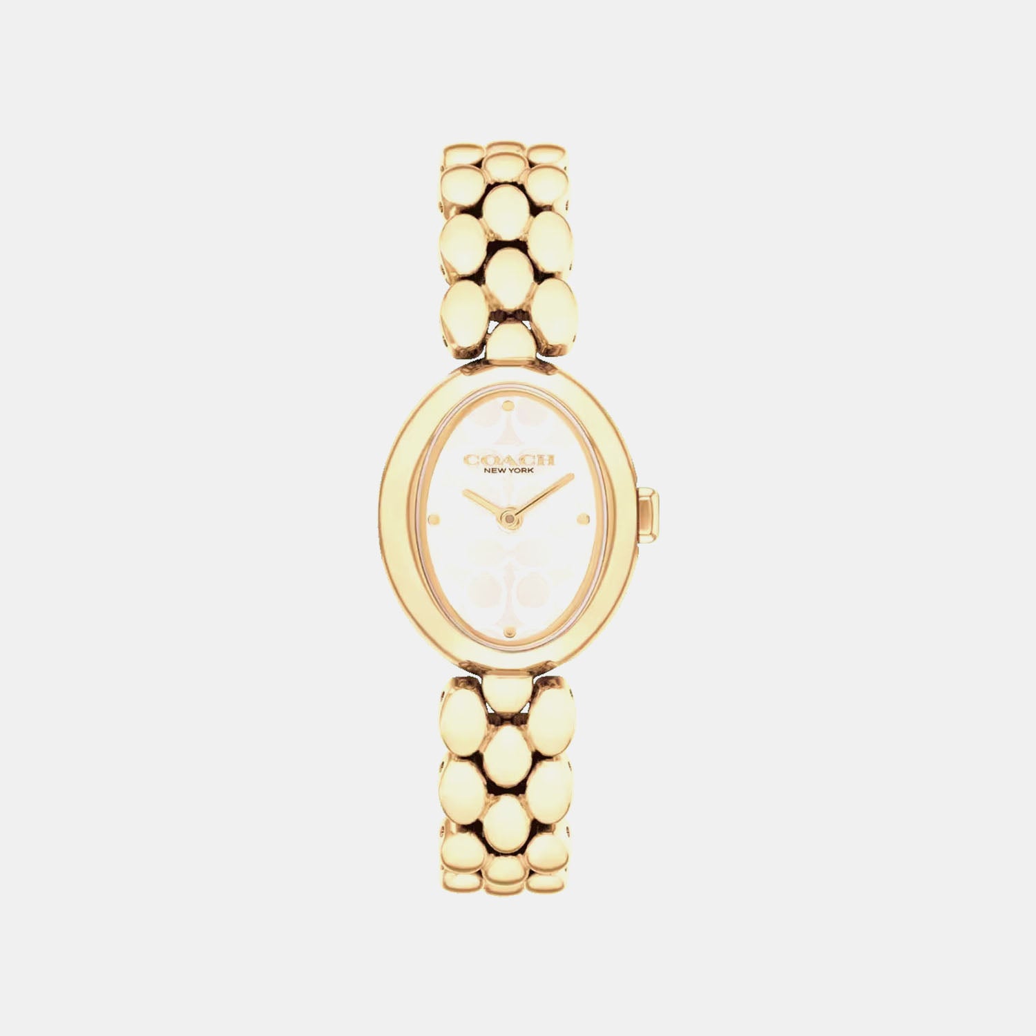 Sammy Women Quartz Silver Dial Analog Stainless Steel Watch 14504417