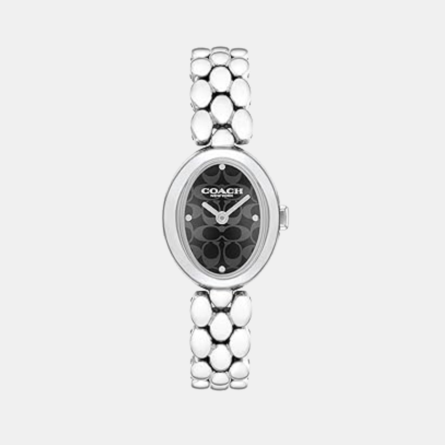 Sammy Women Quartz Black Dial Analog Stainless Steel Watch 14504420