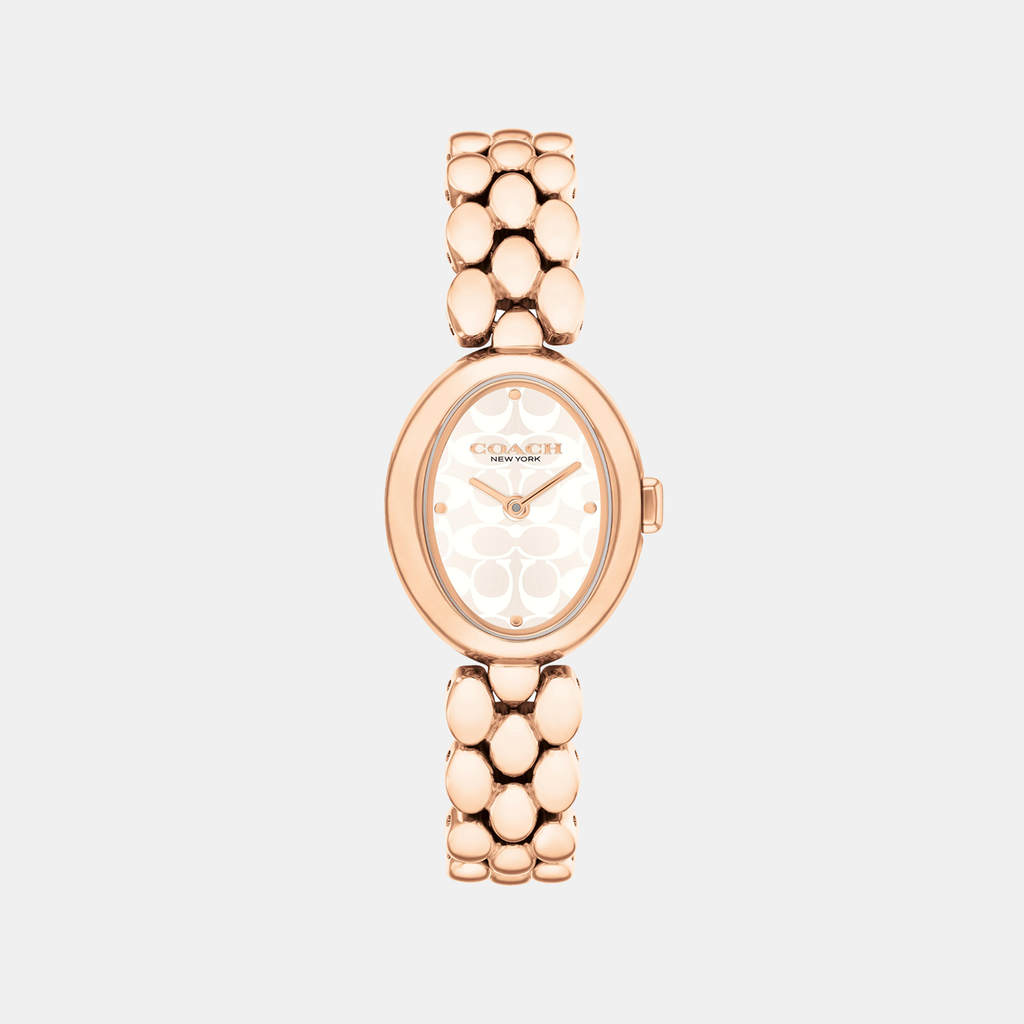 Coach Oval Silver Analog watch