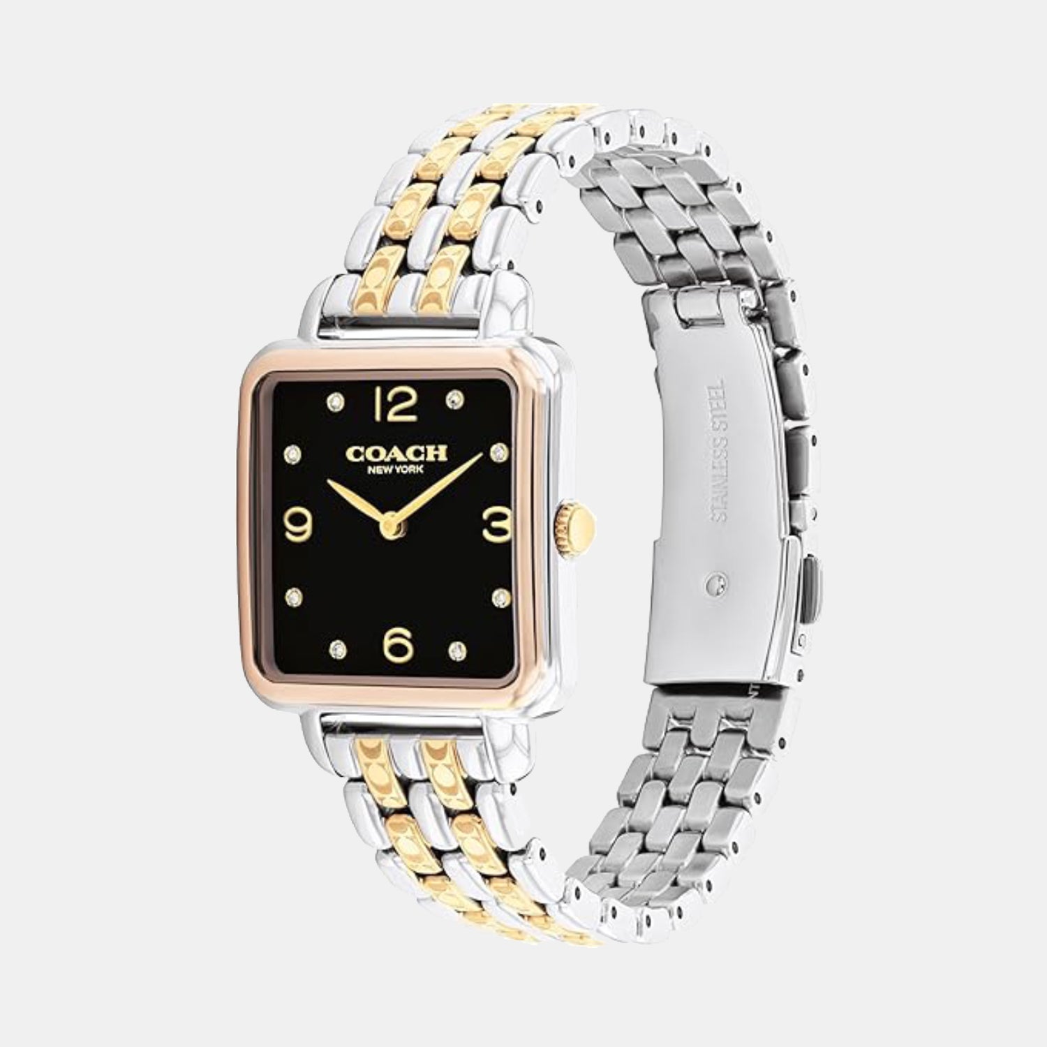 Cass Women Quartz Black Dial Analog Stainless Steel Watch 14504496