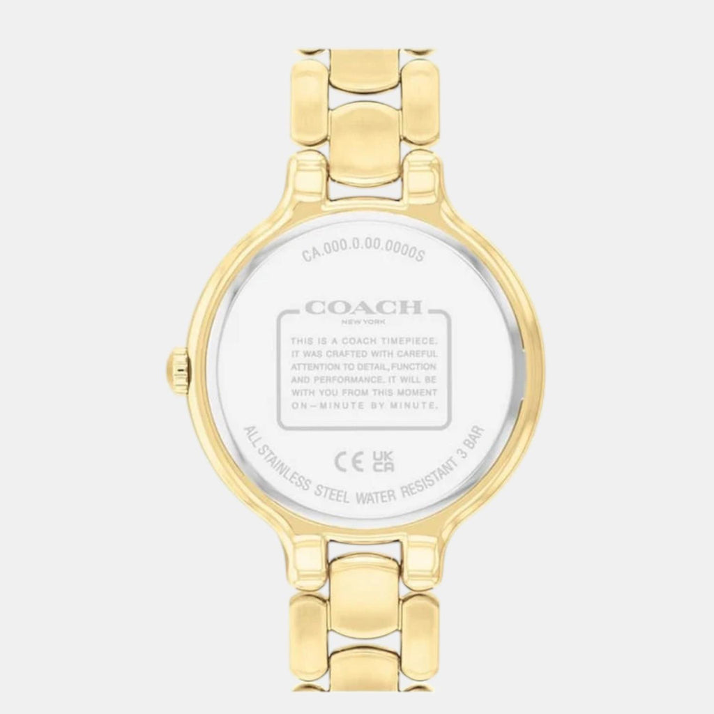 Chelsea Women Quartz Blue Dial Analog Stainless Steel Watch 14504500