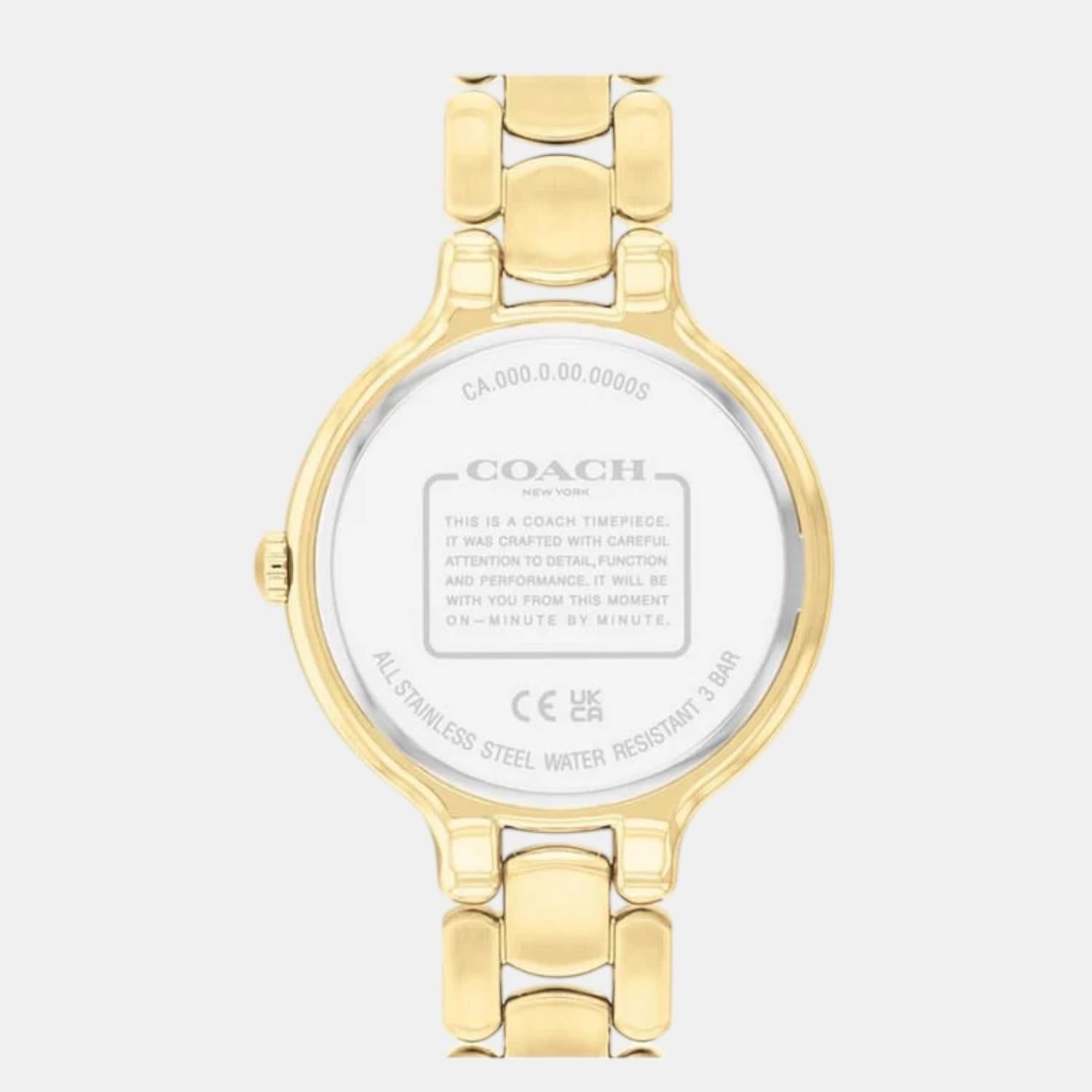 Chelsea Women Quartz Blue Dial Analog Stainless Steel Watch 14504500