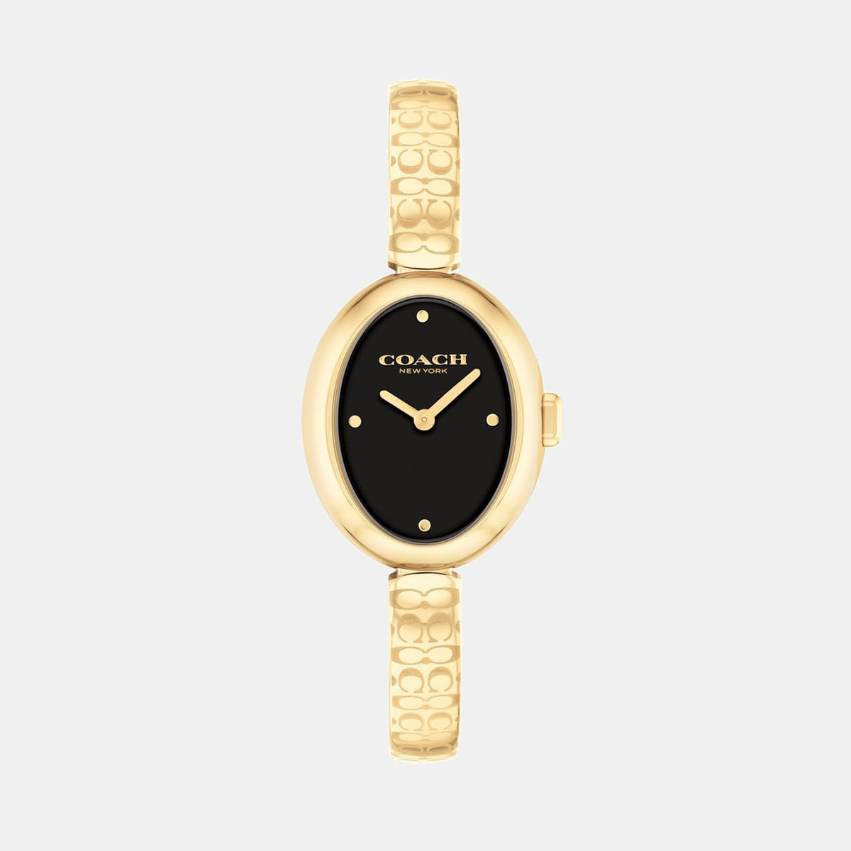 Sammy Women Quartz Black Dial Analog Stainless Steel Watch 14504521