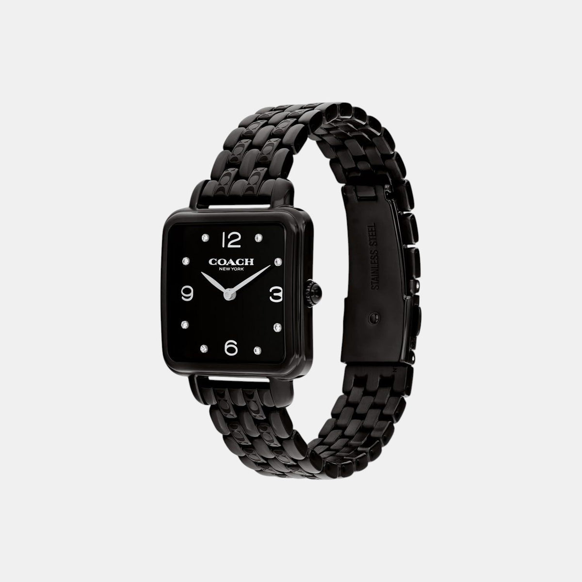 Cass Women Quartz Black Dial Analog Stainless Steel Watch 14504533