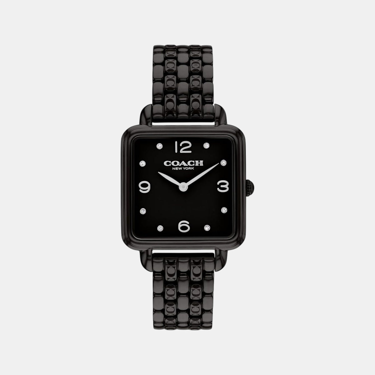 Cass Women Quartz Black Dial Analog Stainless Steel Watch 14504533