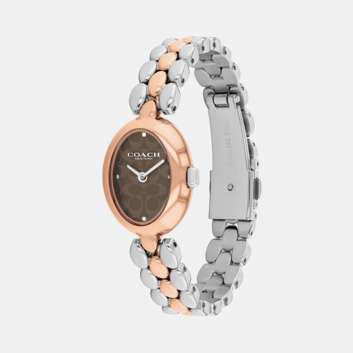 Sammy Women Quartz Brown Dial Analog Stainless Steel Watch 14504542