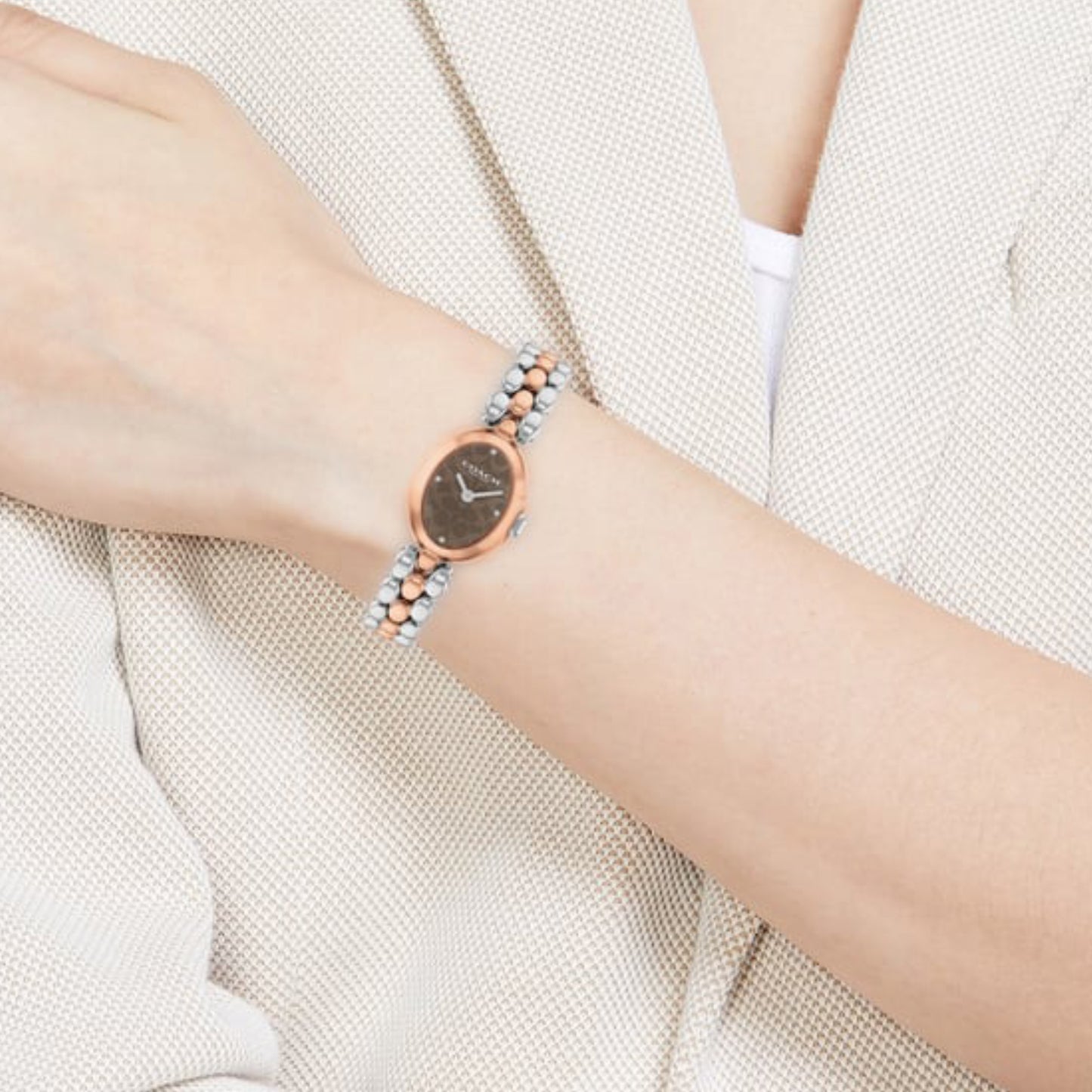 Sammy Women Quartz Brown Dial Analog Stainless Steel Watch 14504542