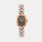 Sammy Women Quartz Brown Dial Analog Stainless Steel Watch 14504542