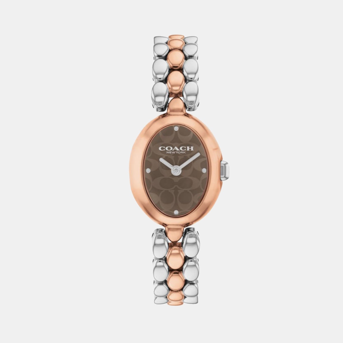 Sammy Women Quartz Brown Dial Analog Stainless Steel Watch 14504542