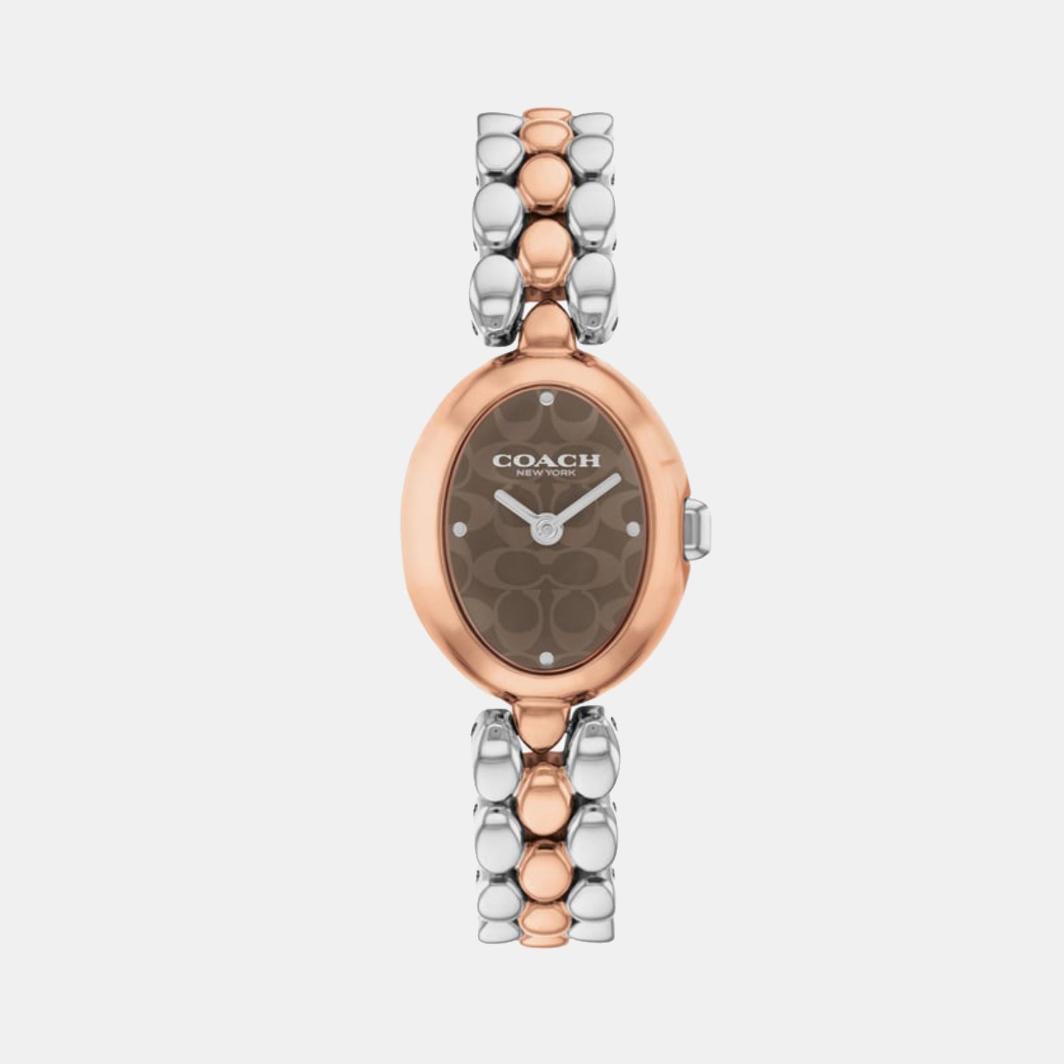 Sammy Women Quartz Brown Dial Analog Stainless Steel Watch 14504542