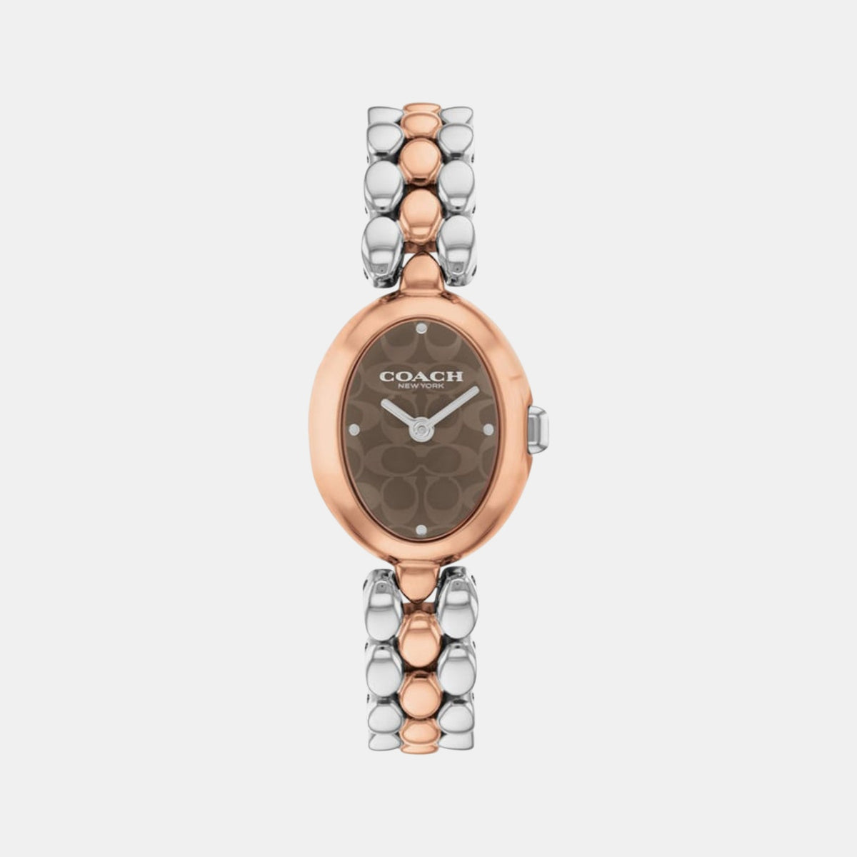 Sammy Women Quartz Brown Dial Analog Stainless Steel Watch 14504542