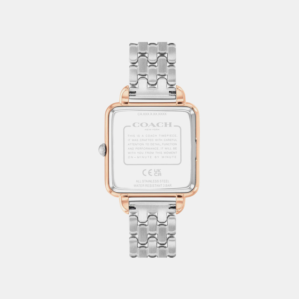 Cass Women Quartz Brown Dial Analog Stainless Steel Watch 14504543