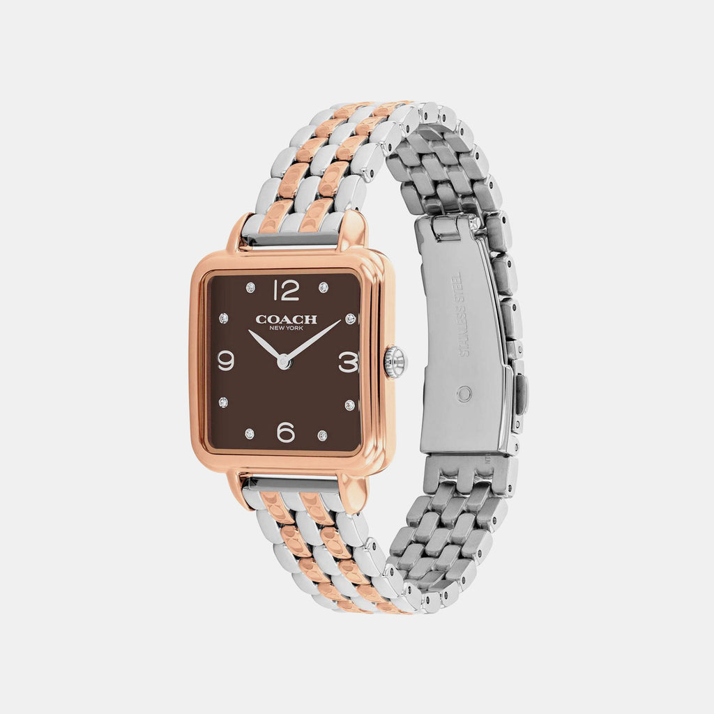 Cass Women Quartz Brown Dial Analog Stainless Steel Watch 14504543