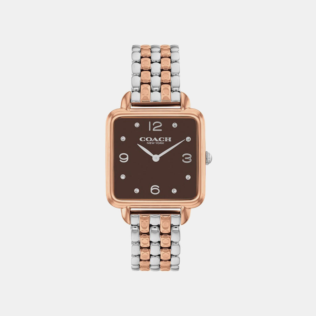 Cass Women Quartz Brown Dial Analog Stainless Steel Watch 14504543