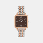 Cass Women Quartz Brown Dial Analog Stainless Steel Watch 14504543