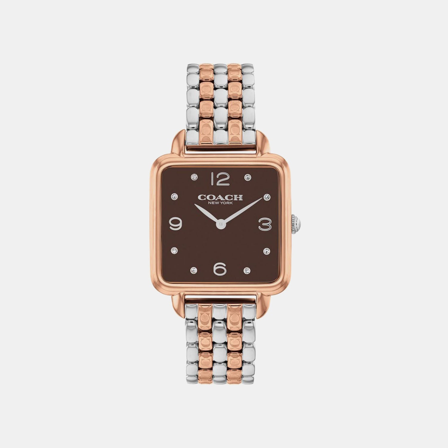 Cass Women Quartz Brown Dial Analog Stainless Steel Watch 14504543