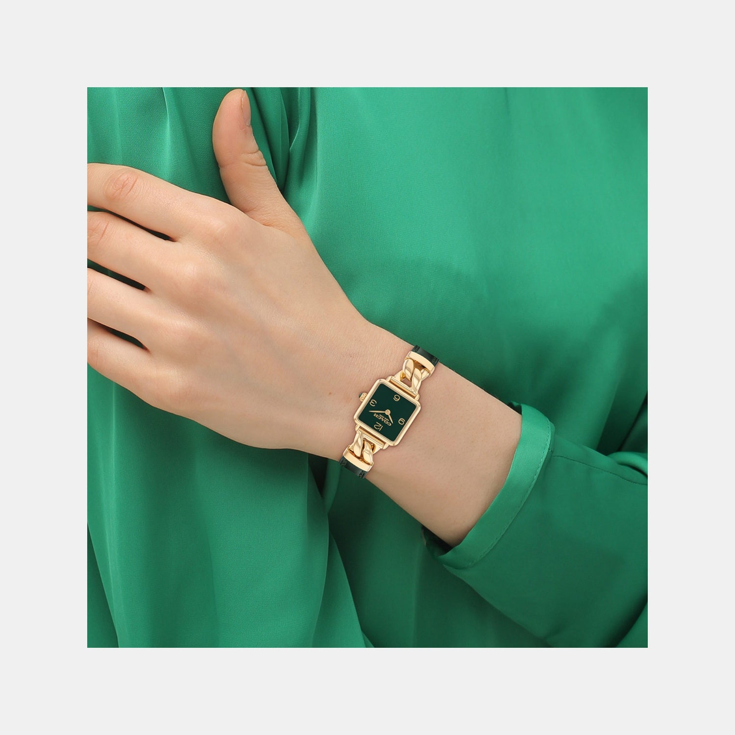 Cass Women Quartz Dark Green Dial Analog Calfskin Watch 14504557