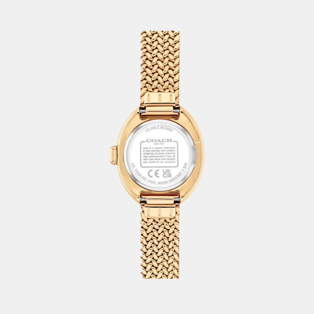 Sammy Women Quartz Gold Dial Analog Mesh Watch 14504567