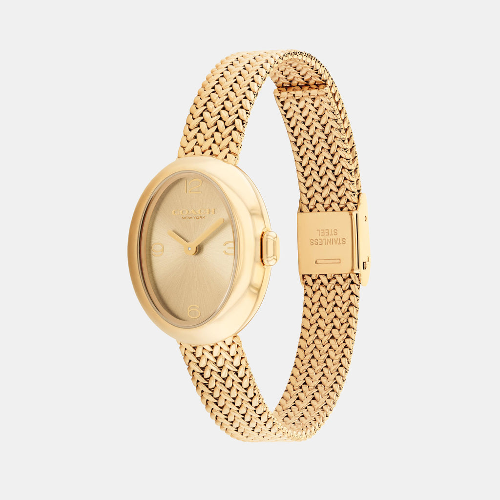 Sammy Women Quartz Gold Dial Analog Mesh Watch 14504567