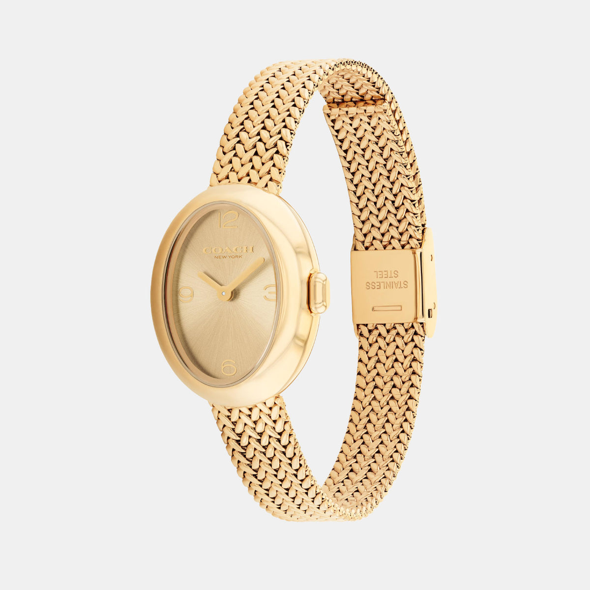 Sammy Women Quartz Gold Dial Analog Mesh Watch 14504567