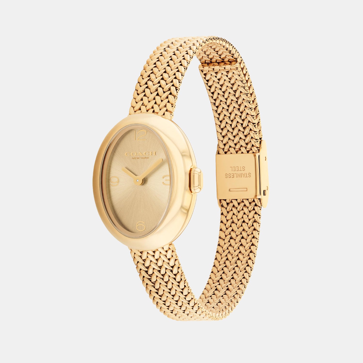 Sammy Women Quartz Thin Gold Dial Analog Stainless Steel Watch 14504567