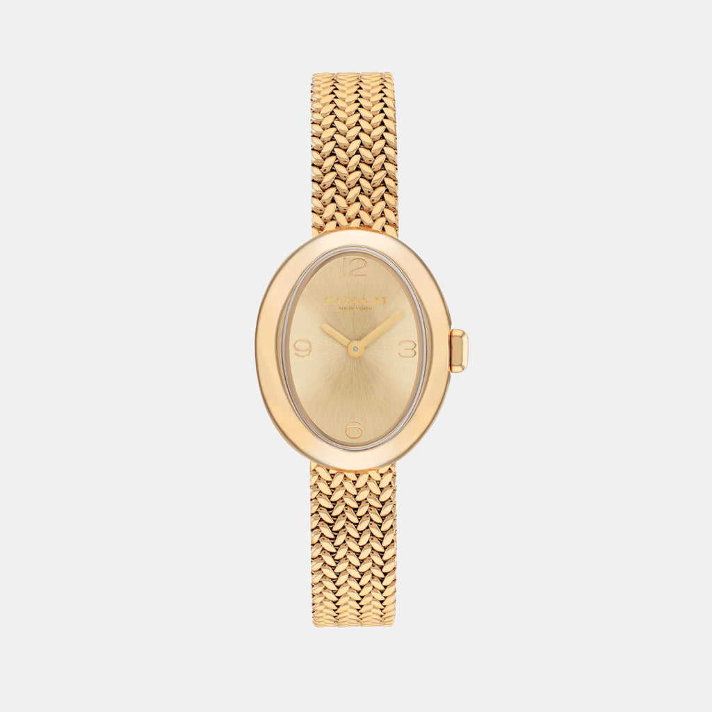 Sammy Women Quartz Gold Dial Analog Mesh Watch 14504567