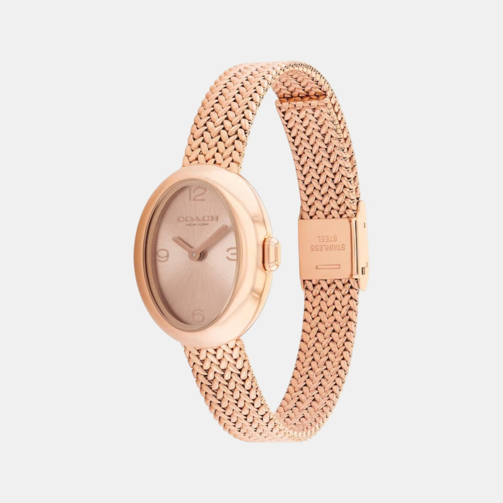 Sammy Women Quartz Pink Dial Analog Stainless Steel Watch 14504568