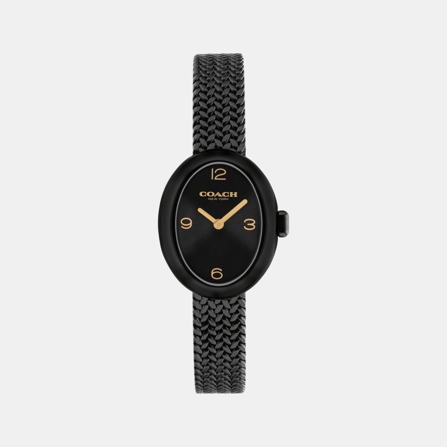 Sammy Women Quartz Black Dial Analog Stainless Steel Watch 14504569