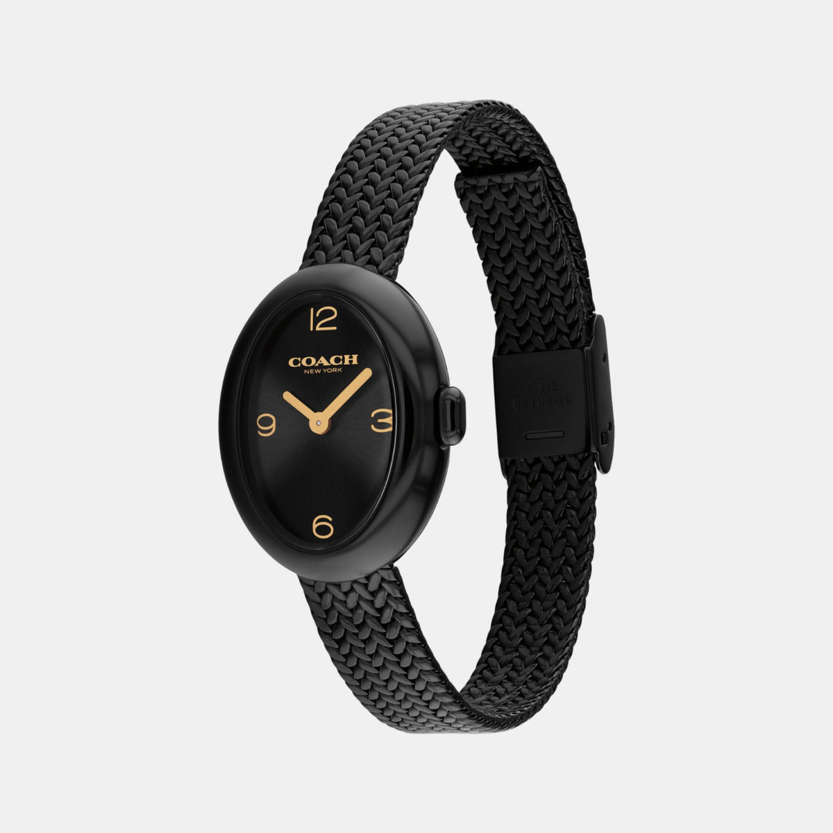 Sammy Women Quartz Black Dial Analog Mesh Watch 14504569