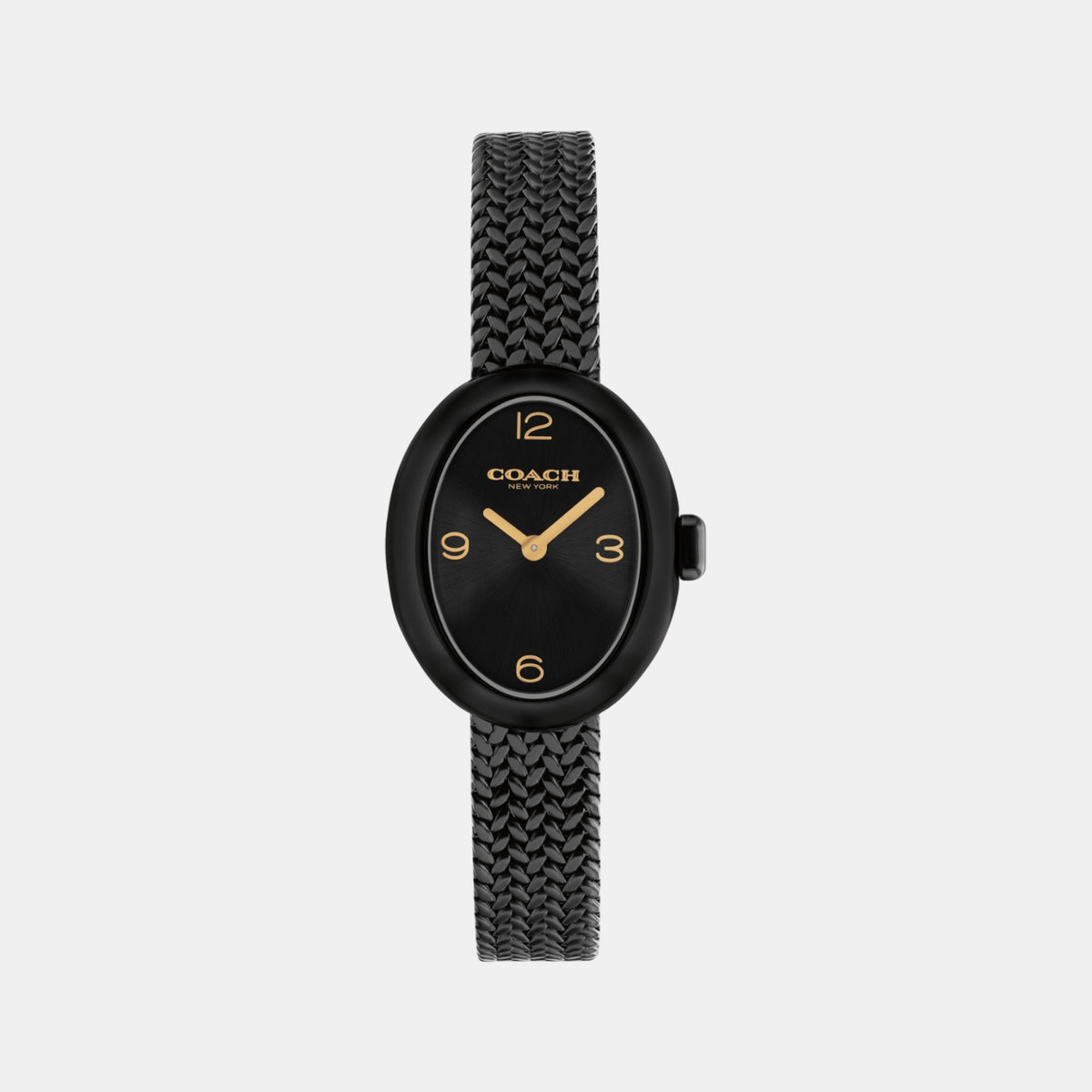 Sammy Women Quartz Black Dial Analog Mesh Watch 14504569