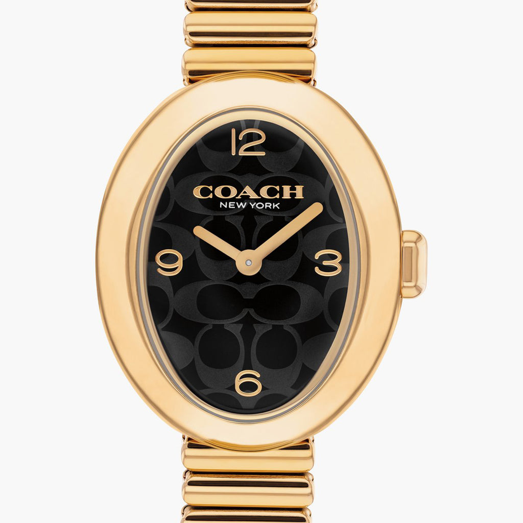 Sammy Women Quartz Black Dial Analog Stainless Steel Watch 14504571